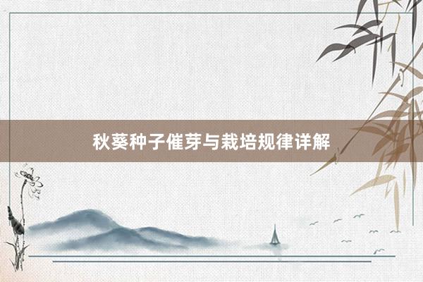 秋葵种子催芽与栽培规律详解